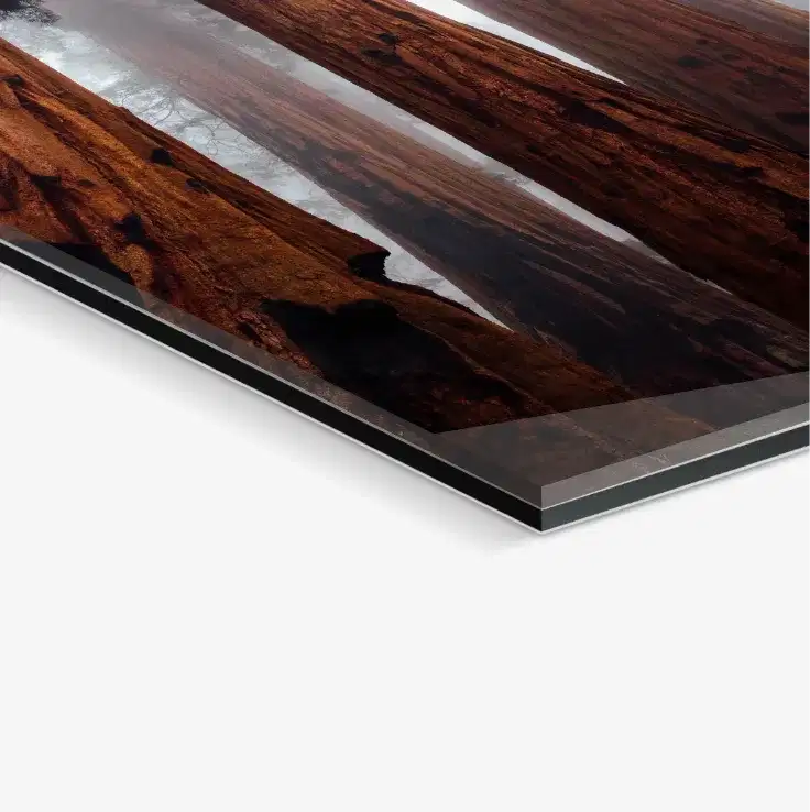 wandbilder/acrylglas/primoprint wandbilder/acrylglas/primoprint